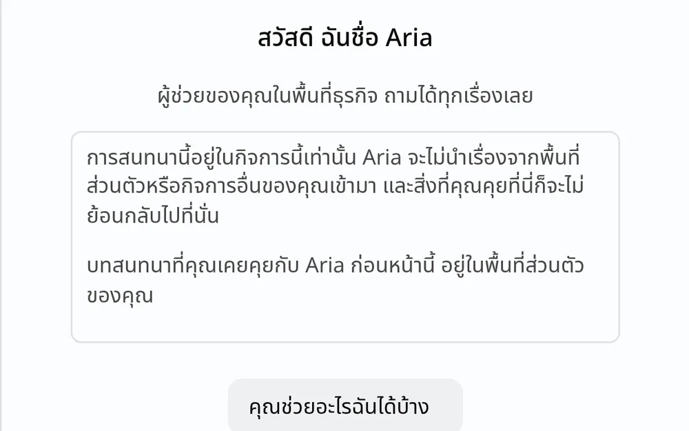 แผงแชต Aria ในพื้นที่ทำงานธุรกิจ มีคำทักทาย คำอธิบายว่าบทสนทนาอยู่แค่ในกิจการนี้ และตัวอย่างคำถามให้กดถาม